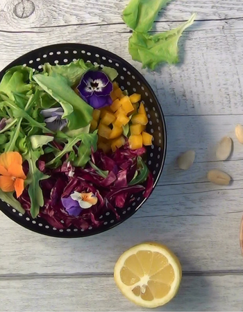 Insalata primavera