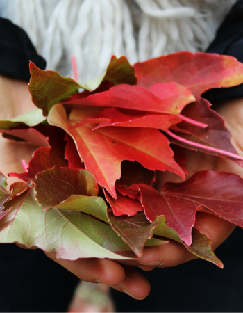 3 rimedi naturali per affrontare l’autunno al meglio