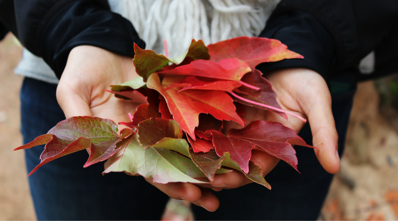 3 rimedi naturali per affrontare l’autunno al meglio